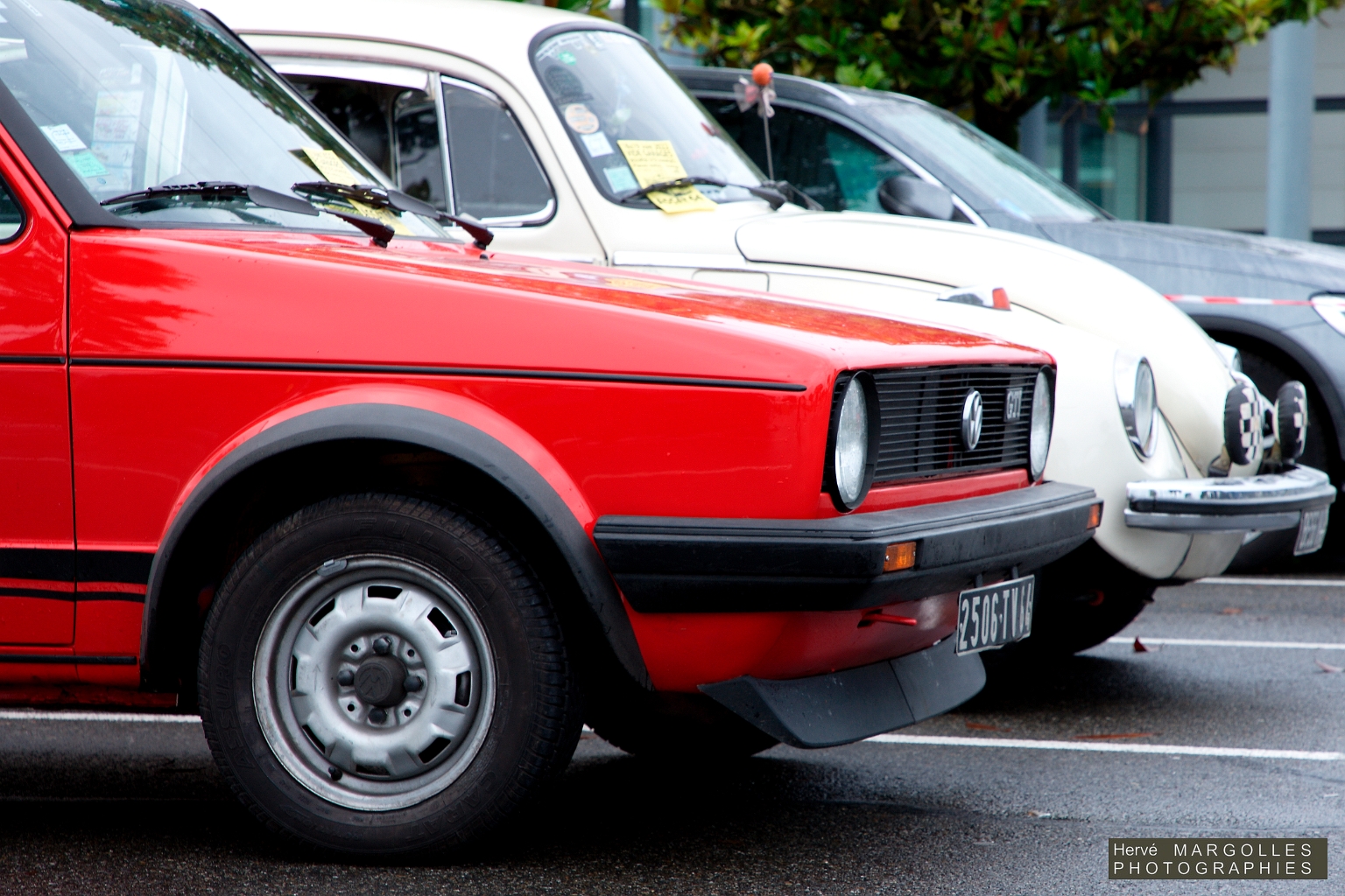 VW Cox--Golf GTi.jpg